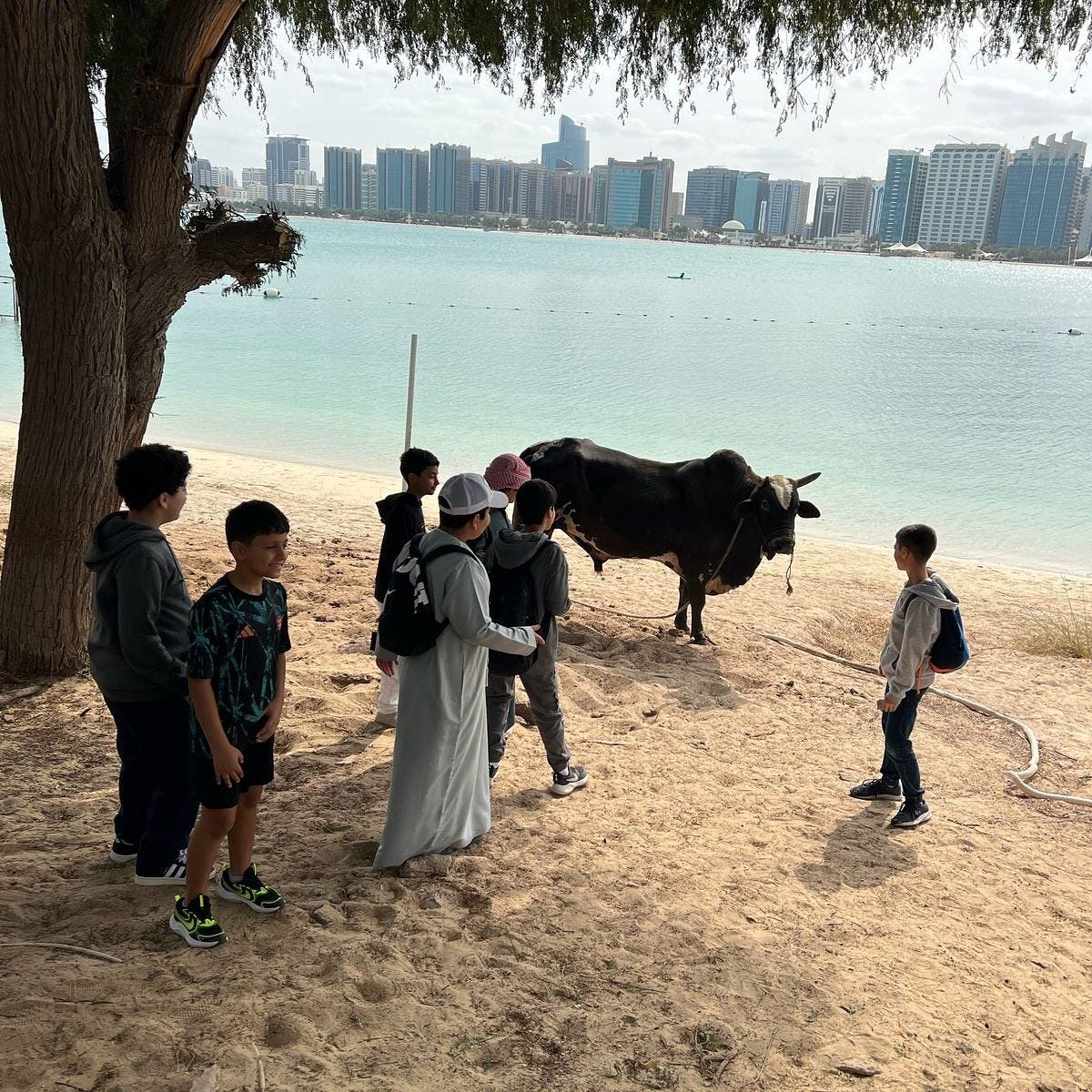 German International School & Kindergarten Abu Dhabi