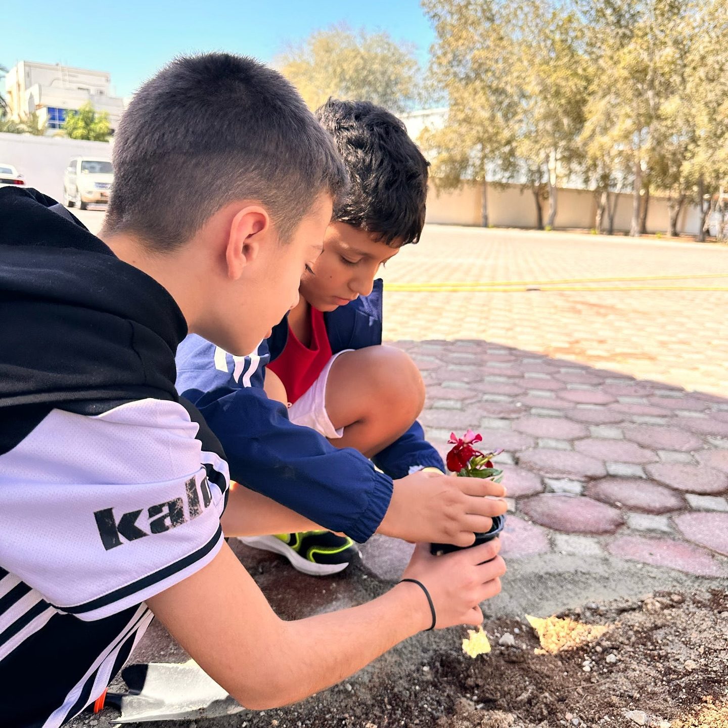 Betreuung an der deutschen Schule Abu Dhabi